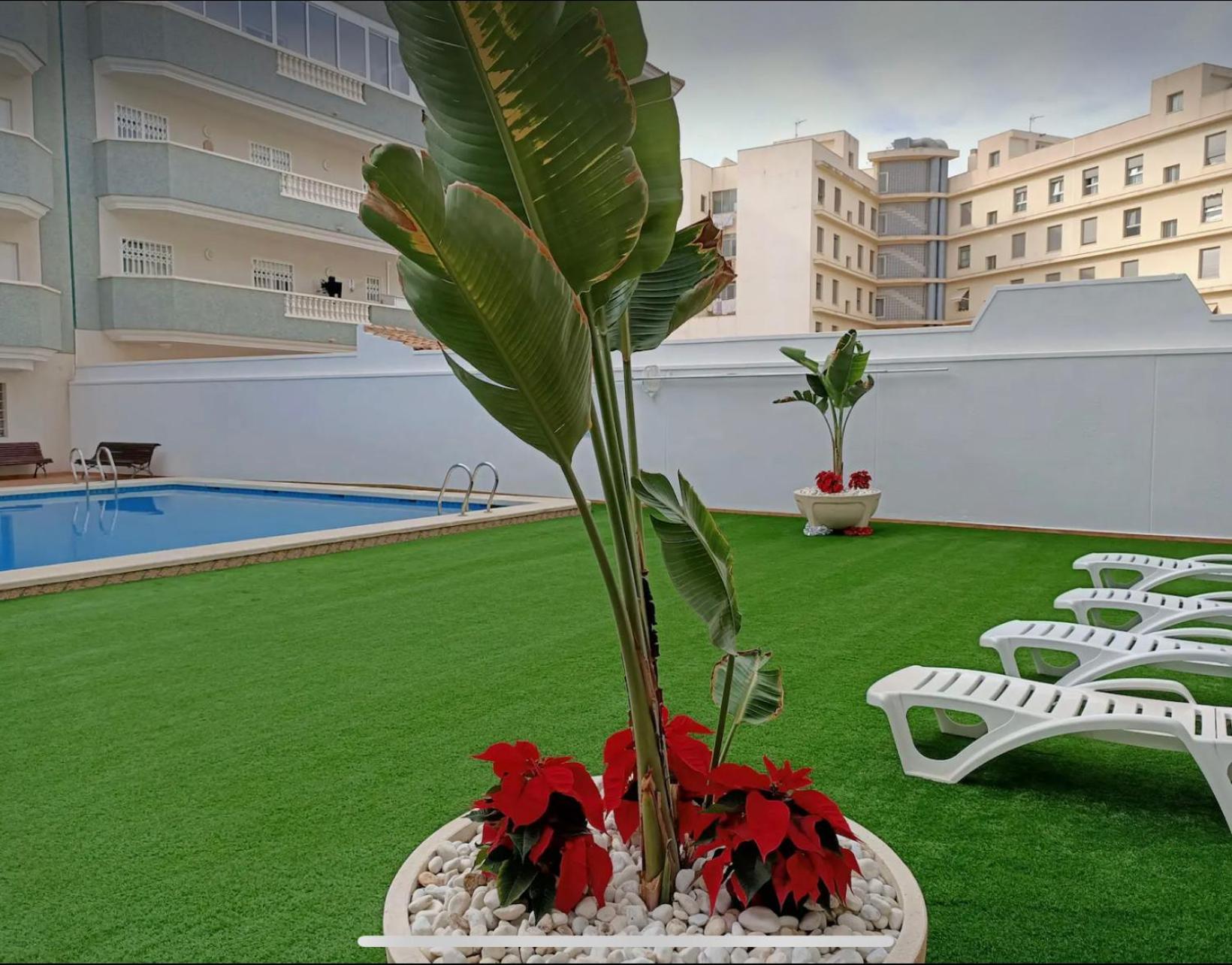 Exclusive Penthouse Pool & Beach - Lovely For Families - Los Pinos Residential El Campello Buitenkant foto